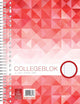 Bloc-notes de travail a4 - diamant 5 mm - 70 grammes - 23 trous - 80 feuilles - 5 pièces