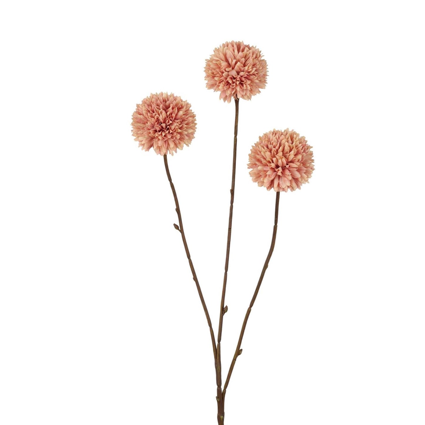 Pompon fleur artificielle collection Roberts 78 cm champagne