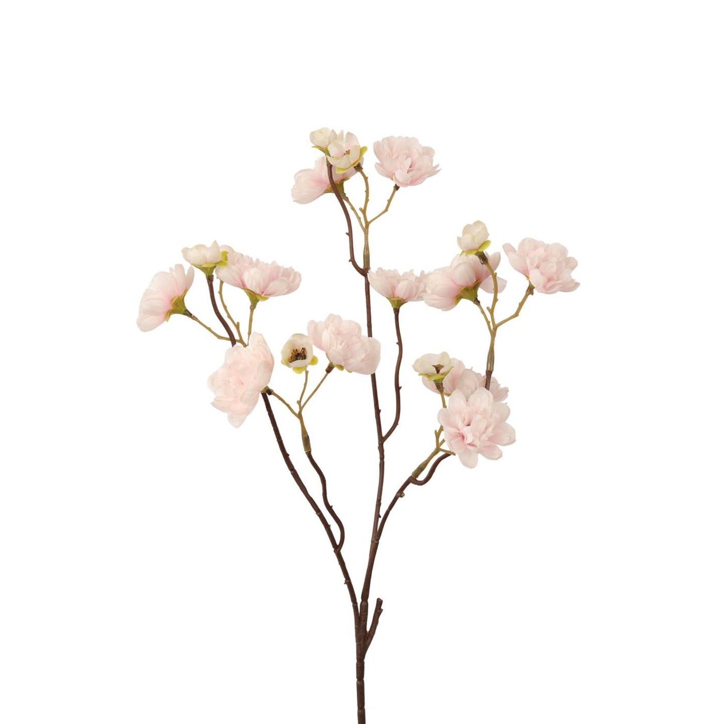 Roberts collection branche artificielle fleur ensoleillée blanc rose 50cm