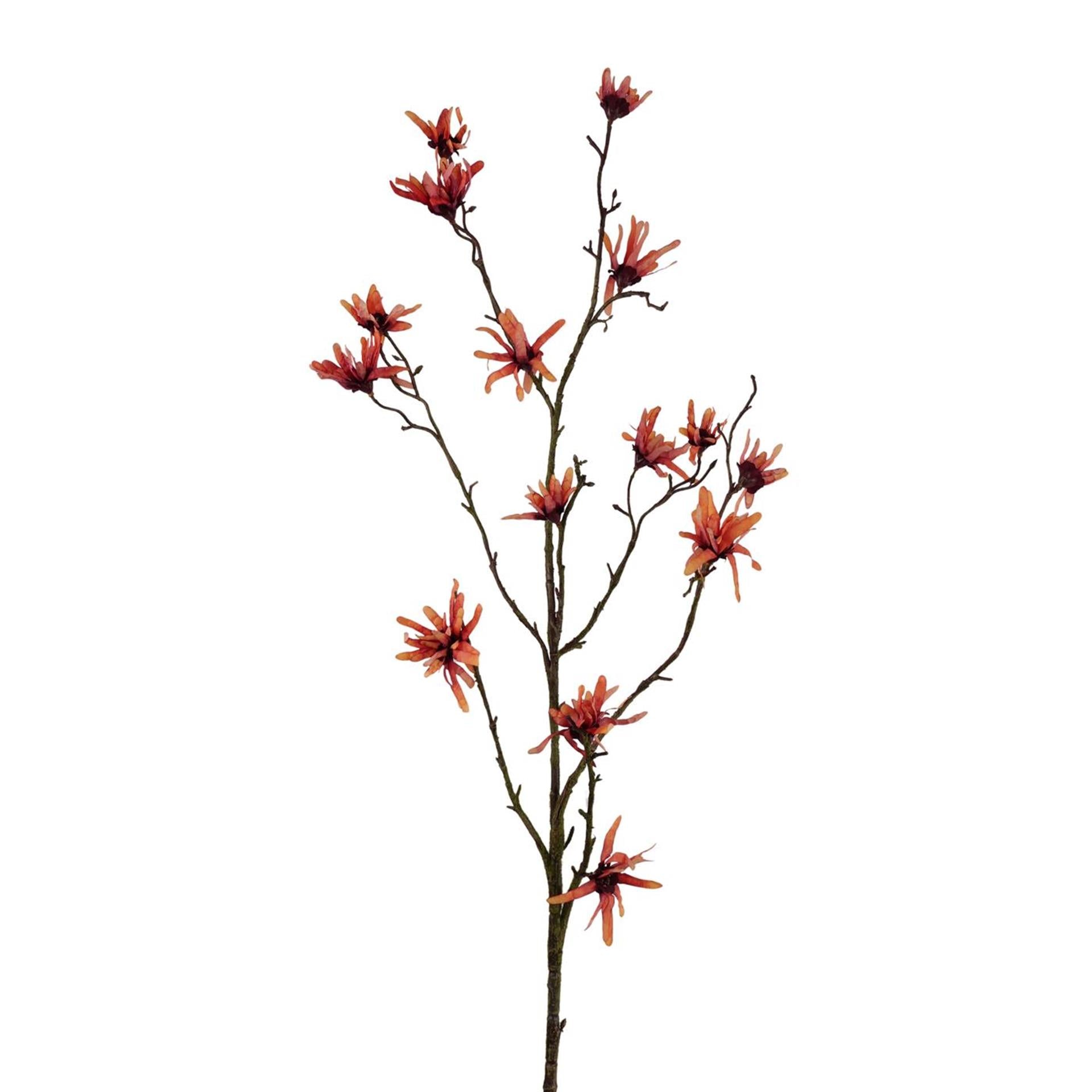 Roberts collection fleur artificielle hamamélis orange 120cm