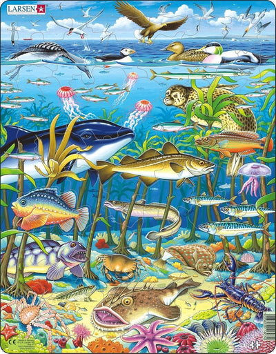 Selecta Larsen Pluzzle Animaux - Animaux marins dans l'océan Atlantique Nord, 60e.