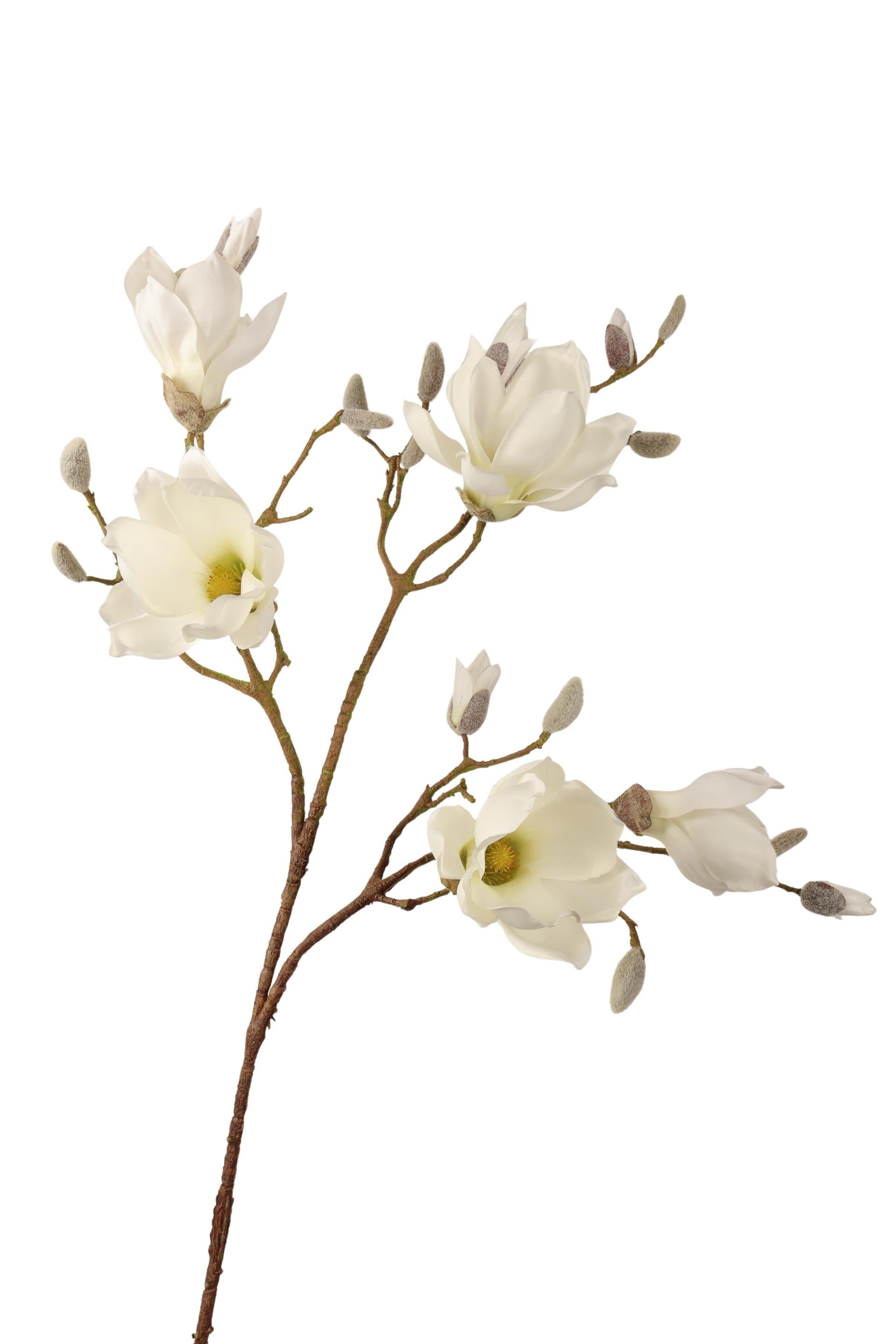 Roberts collection branche artificielle magnolia crème 96cm