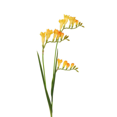 Roberts collection fleur artificielle freesia jaune 83cm