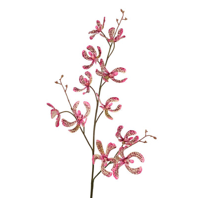 Roberts collection branche artificielle orchidée vanda vert rose 106cm