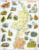 Larsen Limburg avec animaux – puzzle – cartes géographiques – Pays-Bas – puzzle éducatif pour enfants – 60 pièces – fabriqué en Norvège – pièces extra épaisses de 2,5 mm – plateau avec bord fixe