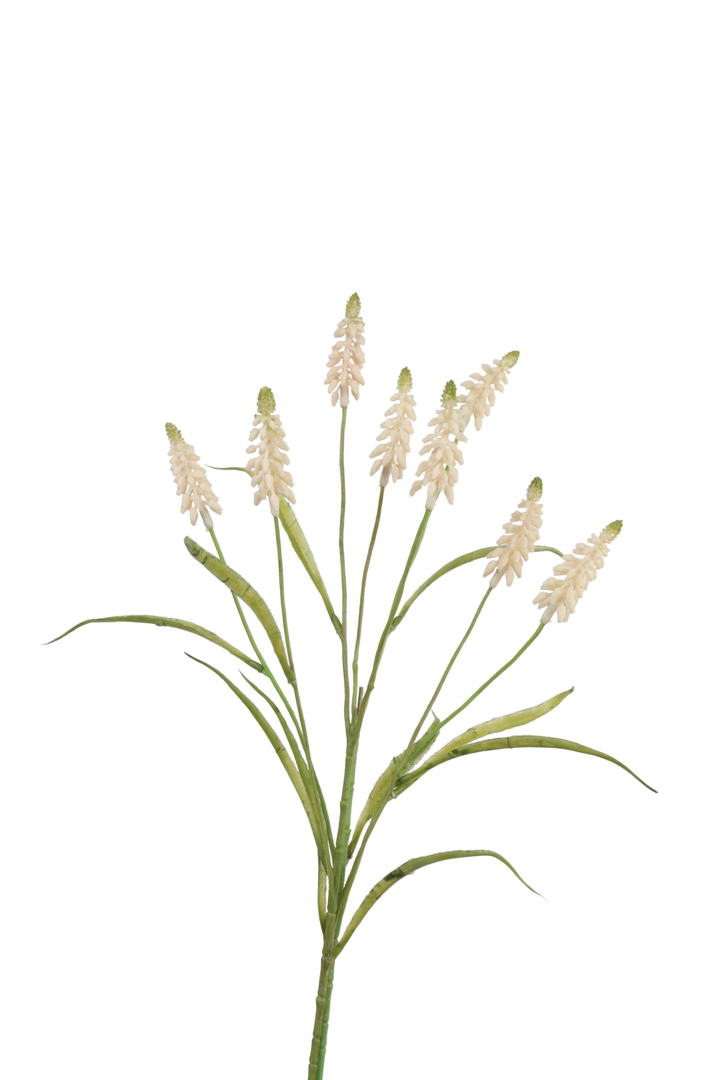 Roberts collection fleur artificielle raisins blanc 60cm