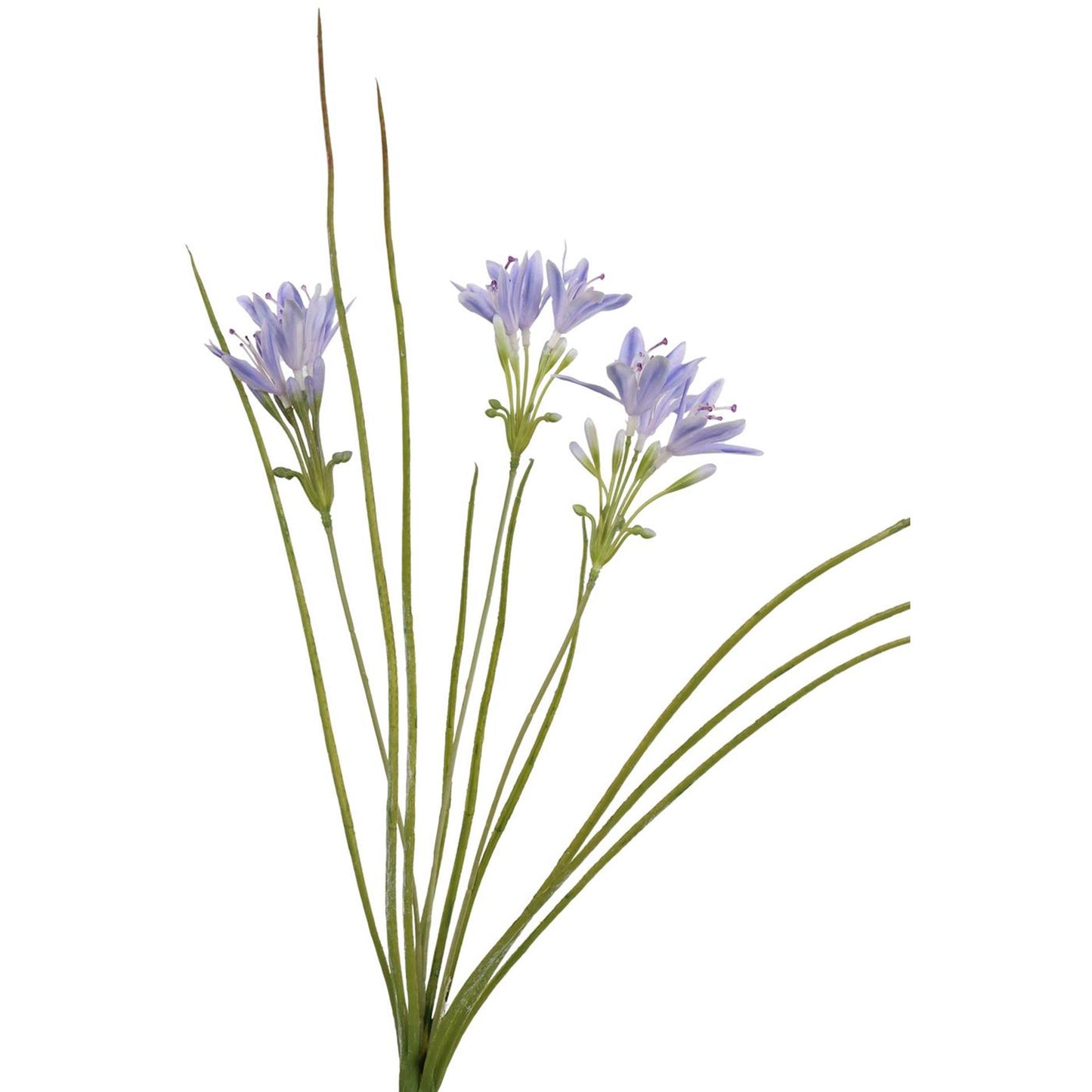 Gazon artificiel collection Roberts avec fleurs bleu 75cm