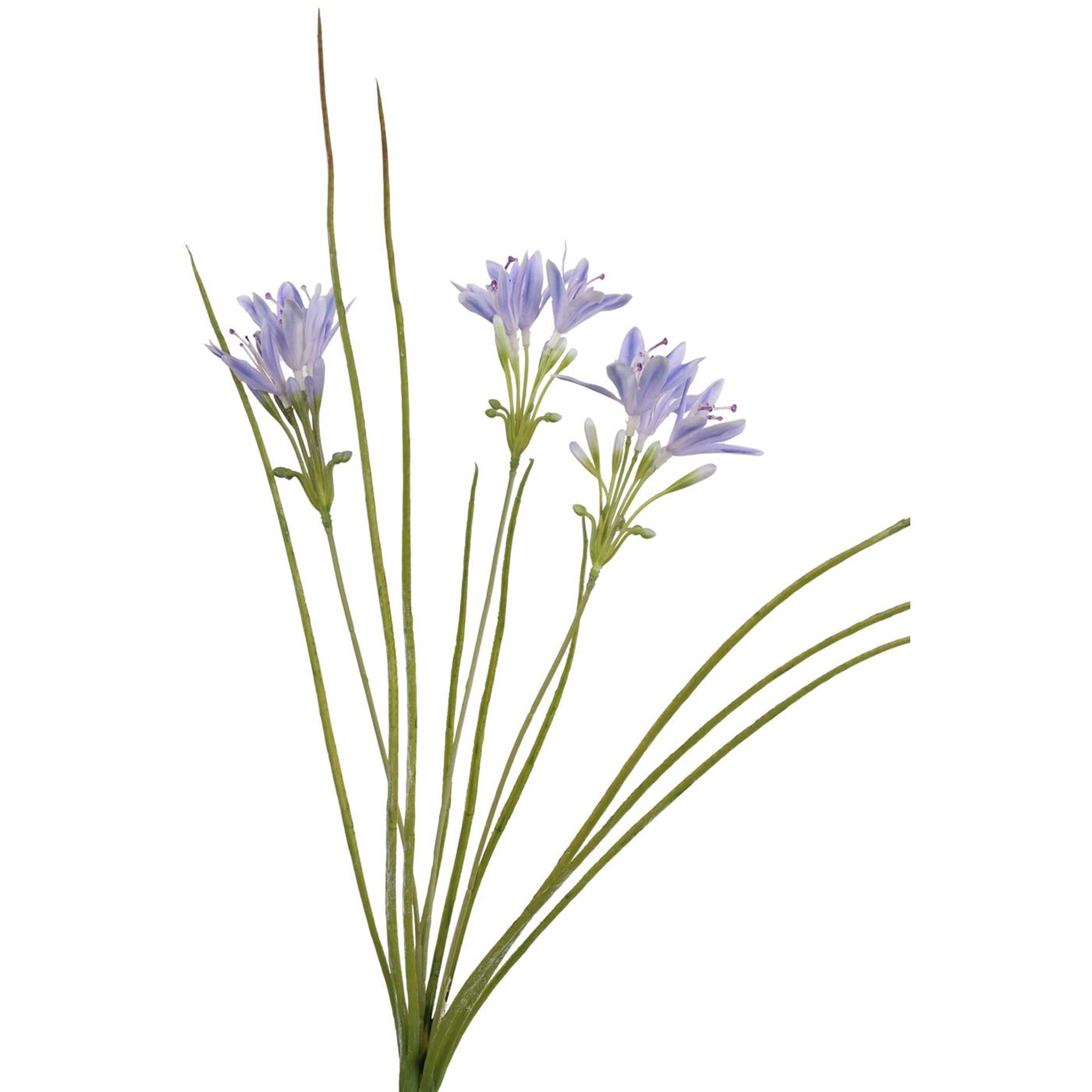 Gazon artificiel collection Roberts avec fleurs bleu 75cm