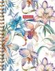 Carnet à spirales Orchidées grandes (lignes) carnet à spirales (ligné)