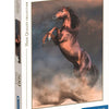 Clementoni Puzzle Jigsaw Puzzle Sunset sur Venise, 500e.