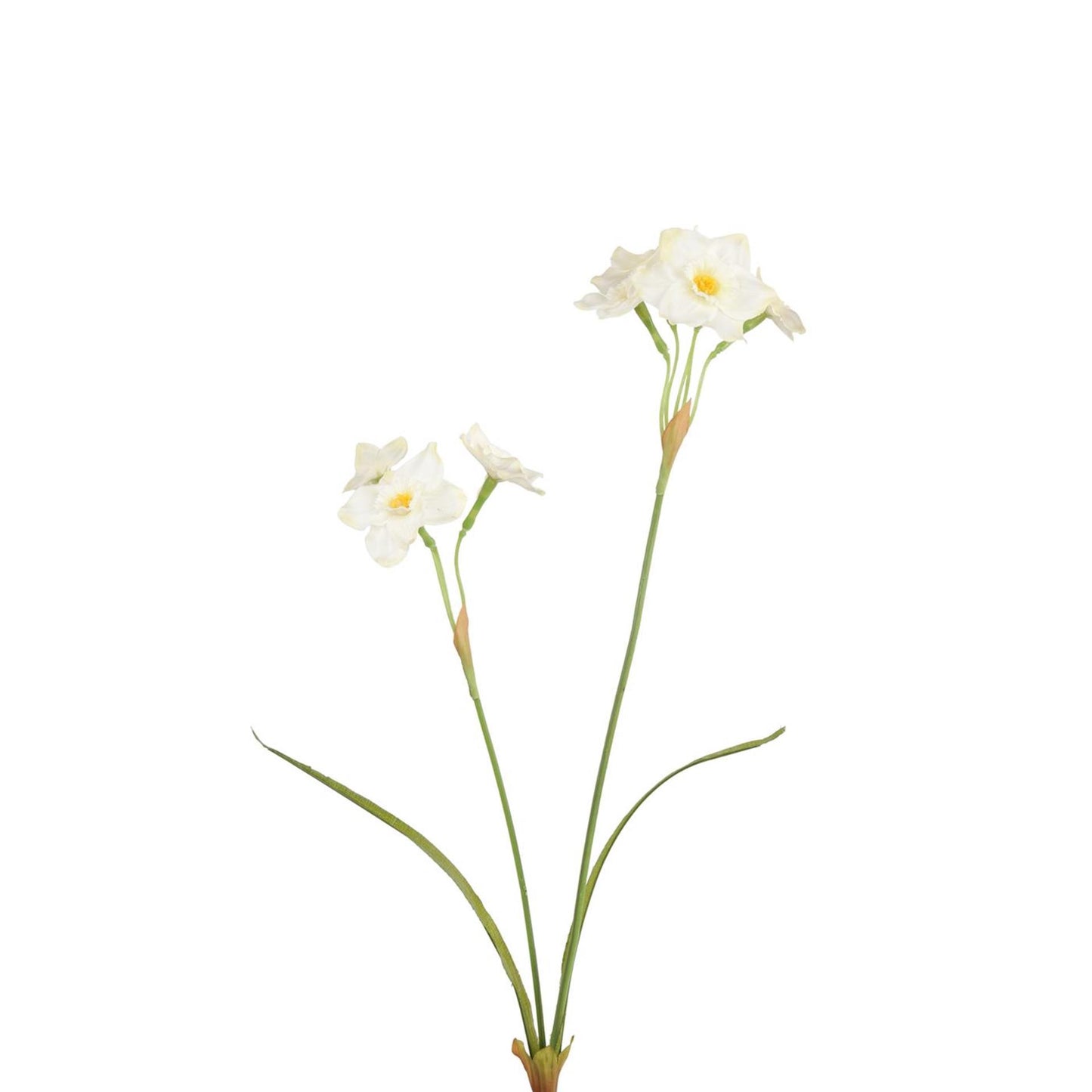 Roberts collection fleur artificielle paperwhite blanc 58cm