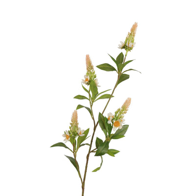 Roberts collection branche artificielle pachystachys rose crème 95cm