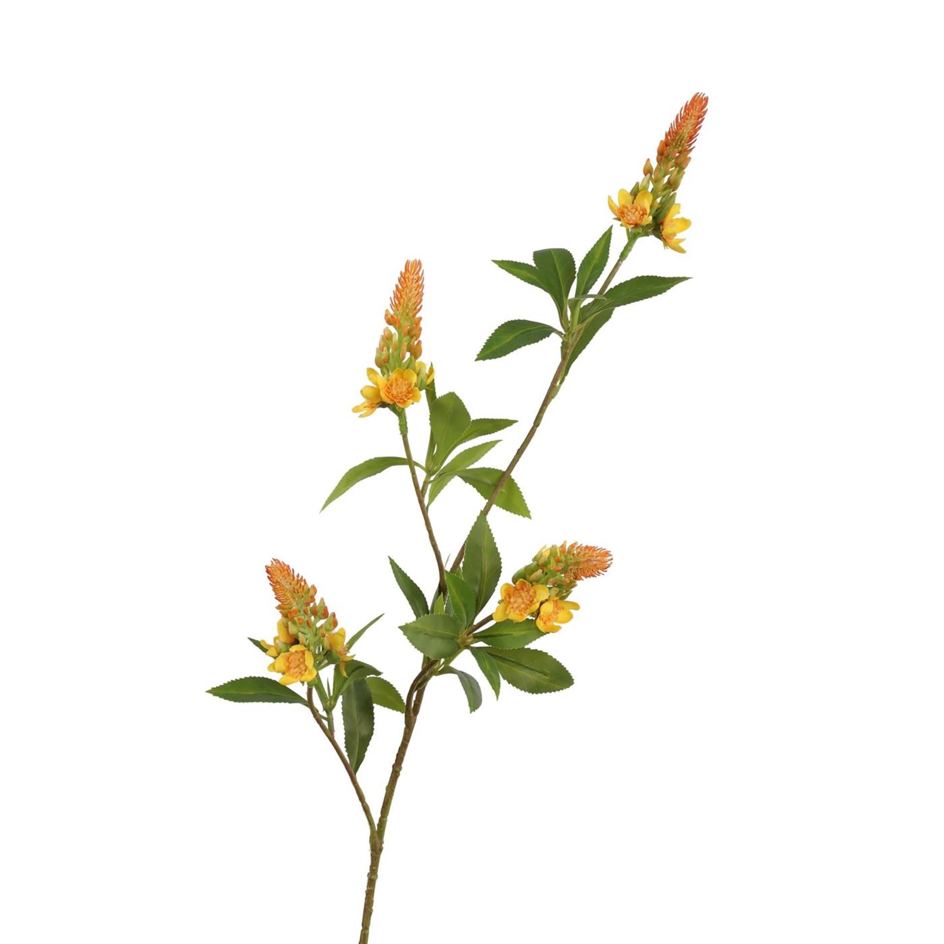 Roberts collection branche artificielle pachystachys jaune 95cm