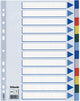 Esselte 10 x onglets 12 onglets (15262)