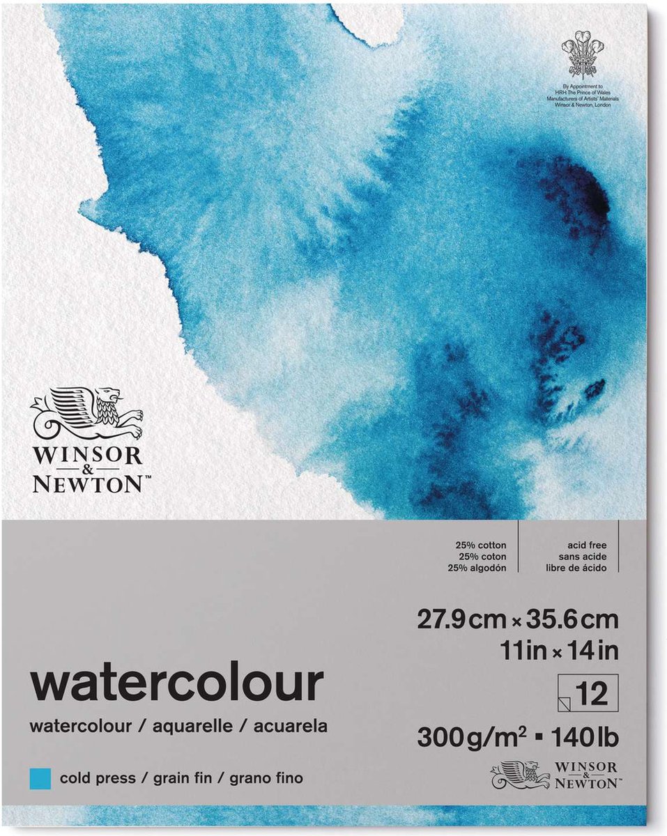 Bloc d'ailettes de grain de papier aquarelle classique Winsor Newton collé sur une face 300gr