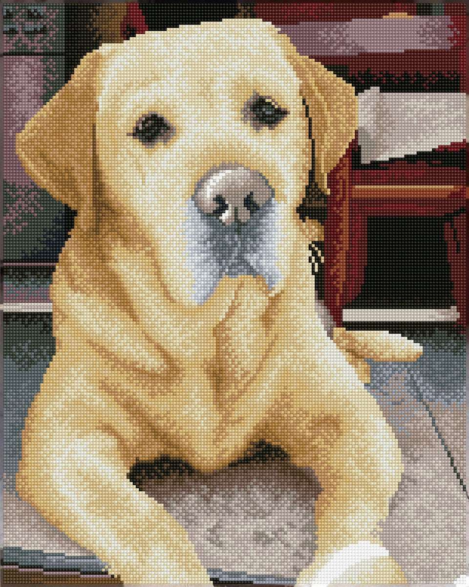 Diamond dotz® peinture au diamant - labrador - 48x58cm - carrés