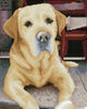 Diamond dotz® peinture au diamant - labrador - 48x58cm - carrés