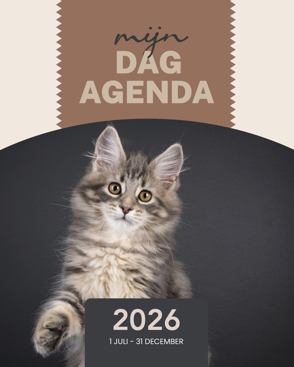 Mon agenda de la journée 2026 2