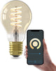 Lampe LED intelligente d'extérieur intelligente Calex - e27 - ampoule intelligente en maille Bluetooth - lumière RVB et blanc chaud - or - 7w