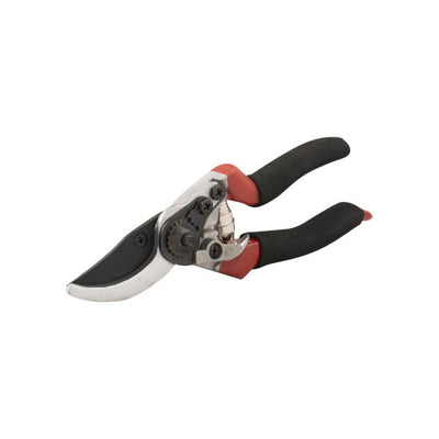 Gardengarar Snow Cishars 20 cm.
