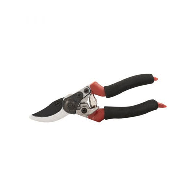 Gardengarar Snow Cishars 20 cm.