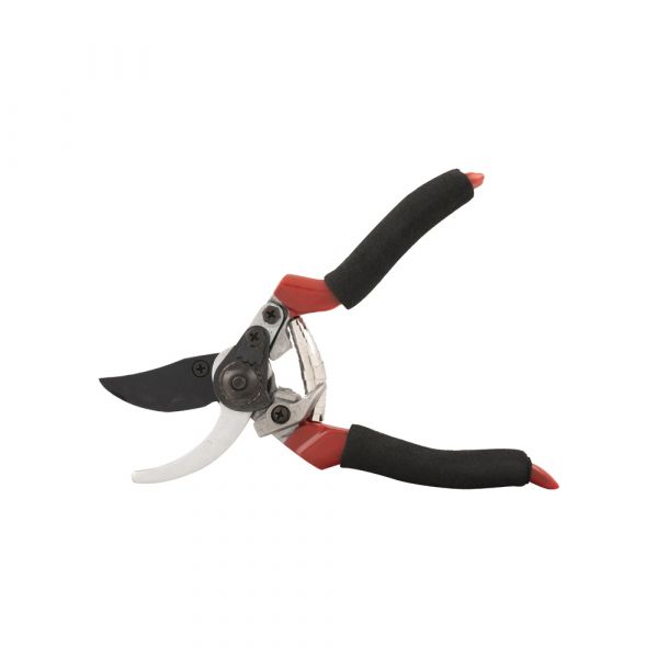 Gardengarar Snow Cishars 20 cm.