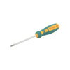 Tournevis Torx 20 x 100 mm.