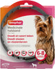 Collier médicamenteux Beaphar pour chien jusqu'à 8 kg - jusqu'à 8 mois de protection contre les puces, tiques et phlébotomes