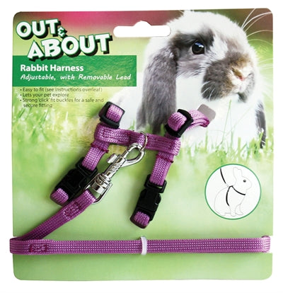 Out et sur le lapin Tuit avec une ligne de randonnée violette