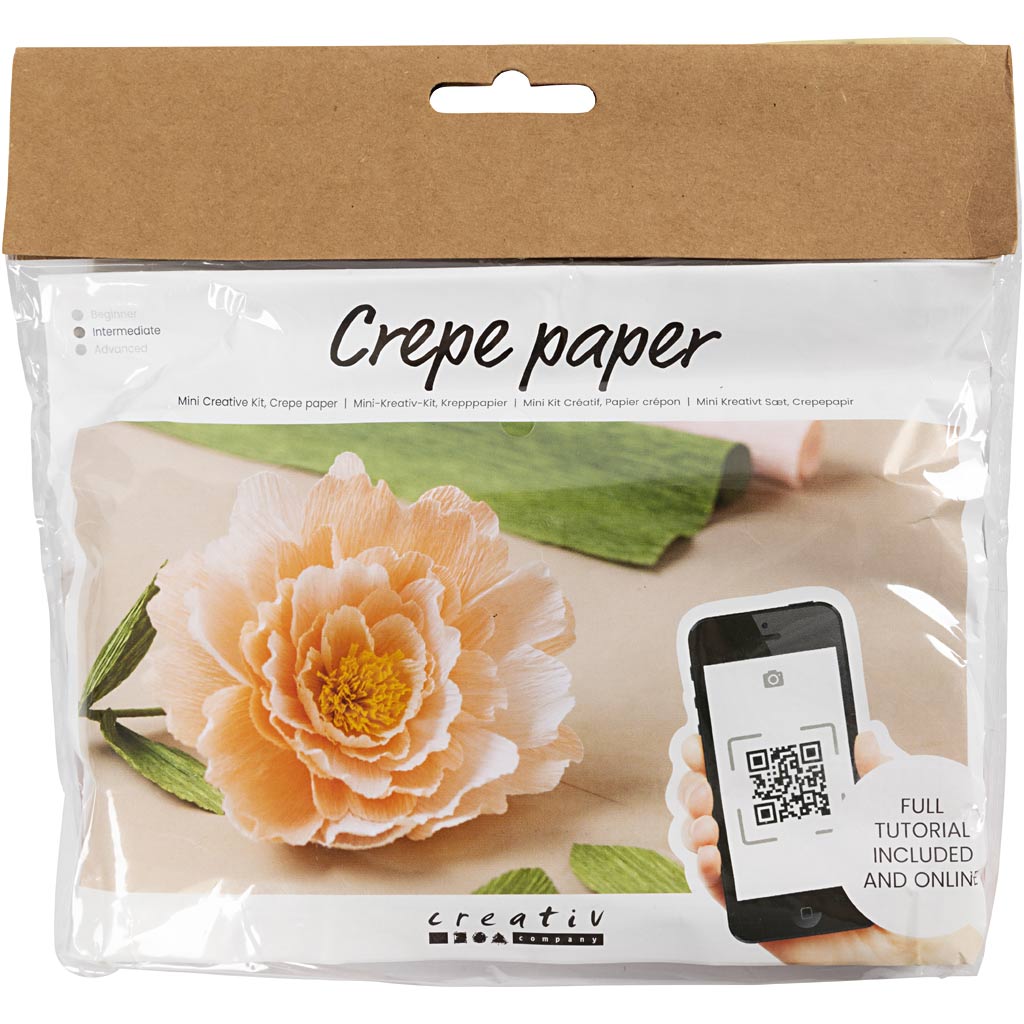 Creativ company mini hobby set papier crépon, pivoine, rapport crêpe : 180%, 105 gr, 1 boîte