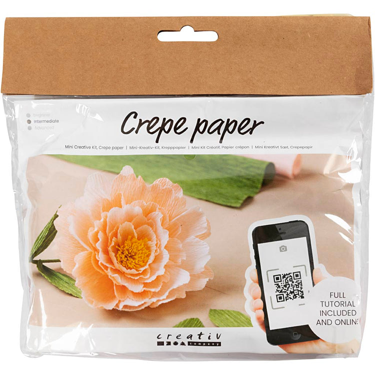 Creativ company mini hobby set papier crépon, pivoine, rapport crêpe : 180%, 105 gr, 1 boîte