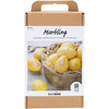 Creativ company hobby set marbre, rose, jaune, 1 boîte