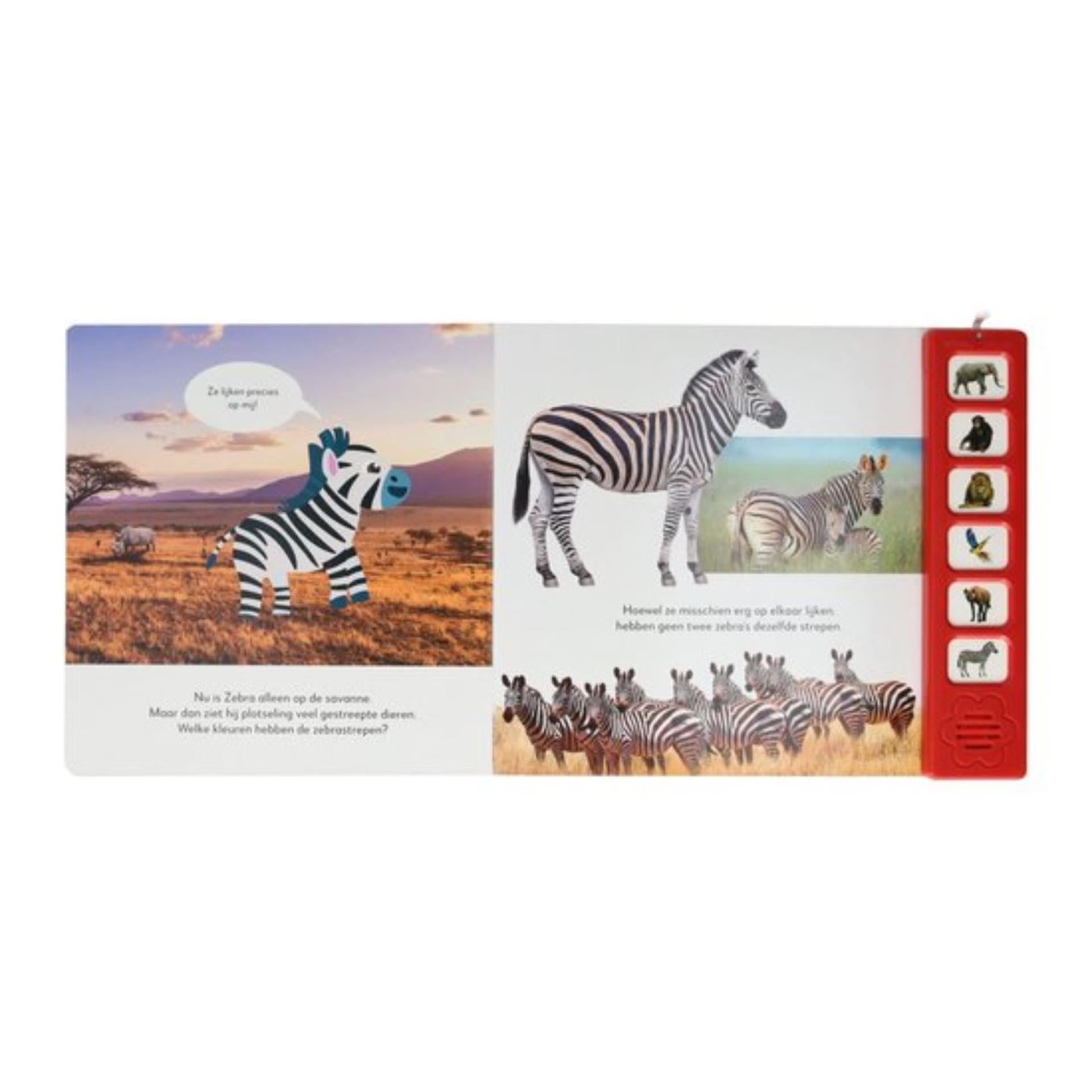 Cartes orales écouter le livre de son des animaux sauvages
