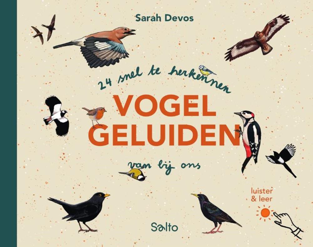 24 sons d'oiseaux rapidement reconnaissables de b