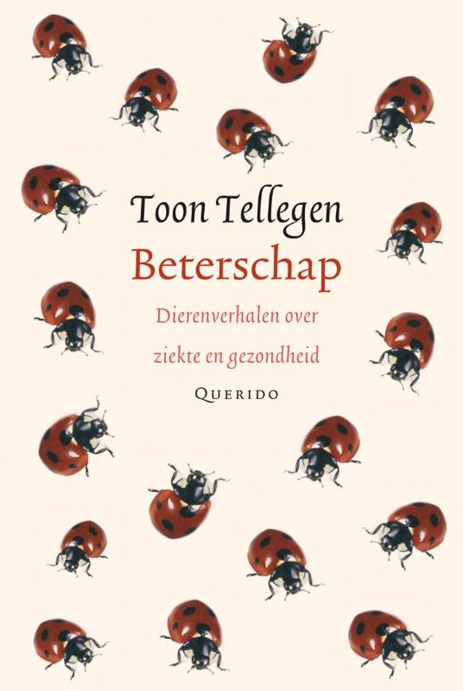 Montrez le décompte : guérissez-vous bientôt. livre cadeau.