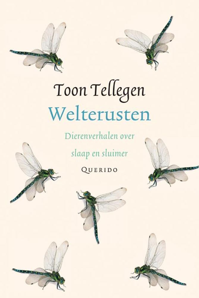 Nombre de spectacles : bonne nuit. livre cadeau