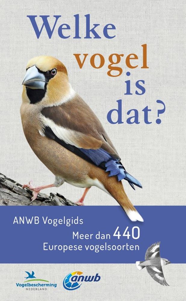 Guide ANWB : de quel oiseau s'agit-il ?