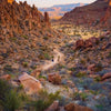 Chiffres de Wanderlust USA