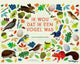 Calendrier d'anniversaire sans marque sans marque J'aimerais être un oiseau
