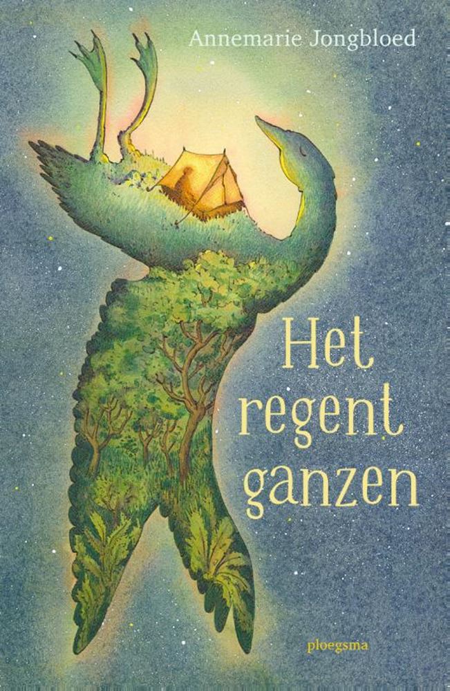 Livre d'histoires : Il pleut des oies 10+