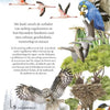 Un voyage autour du monde en 80 oiseaux.