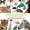 Le livre des animaux. 8+