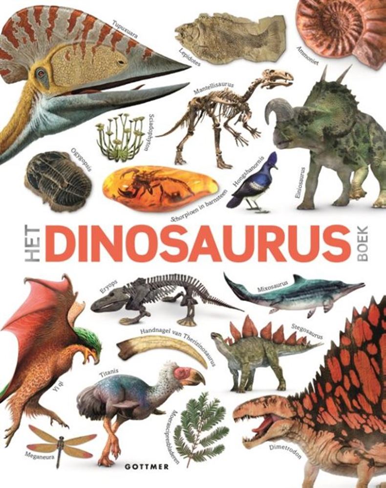 Groupe d'édition Gottmer le livre des dinosaures