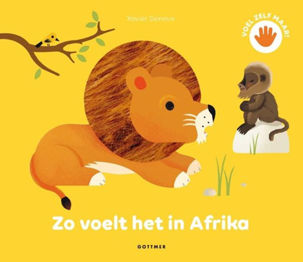 Groupe d'édition Gottmer, comment on se sent en Afrique