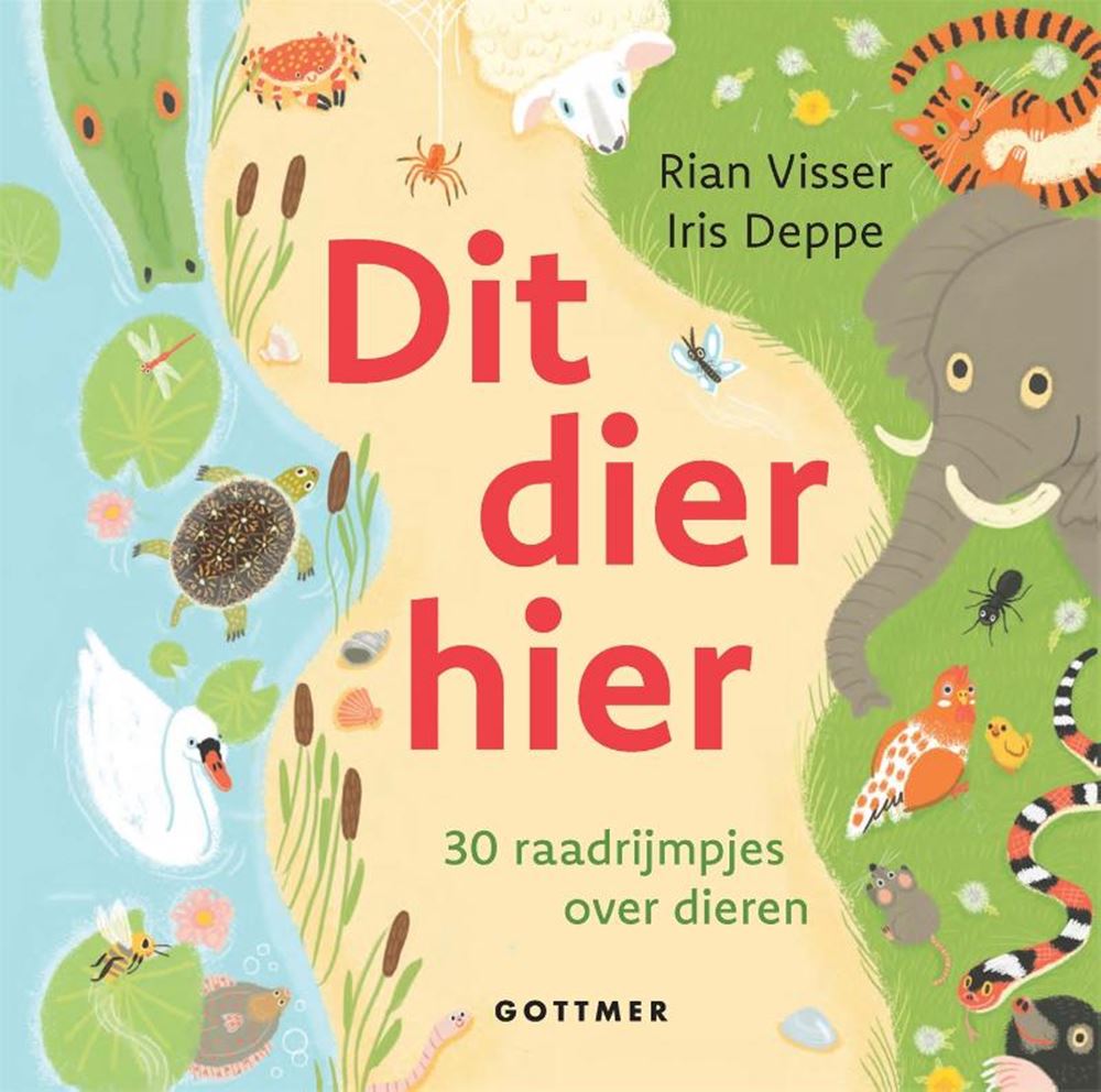 Livre d'images top 10 2026 : cet animal ici 2