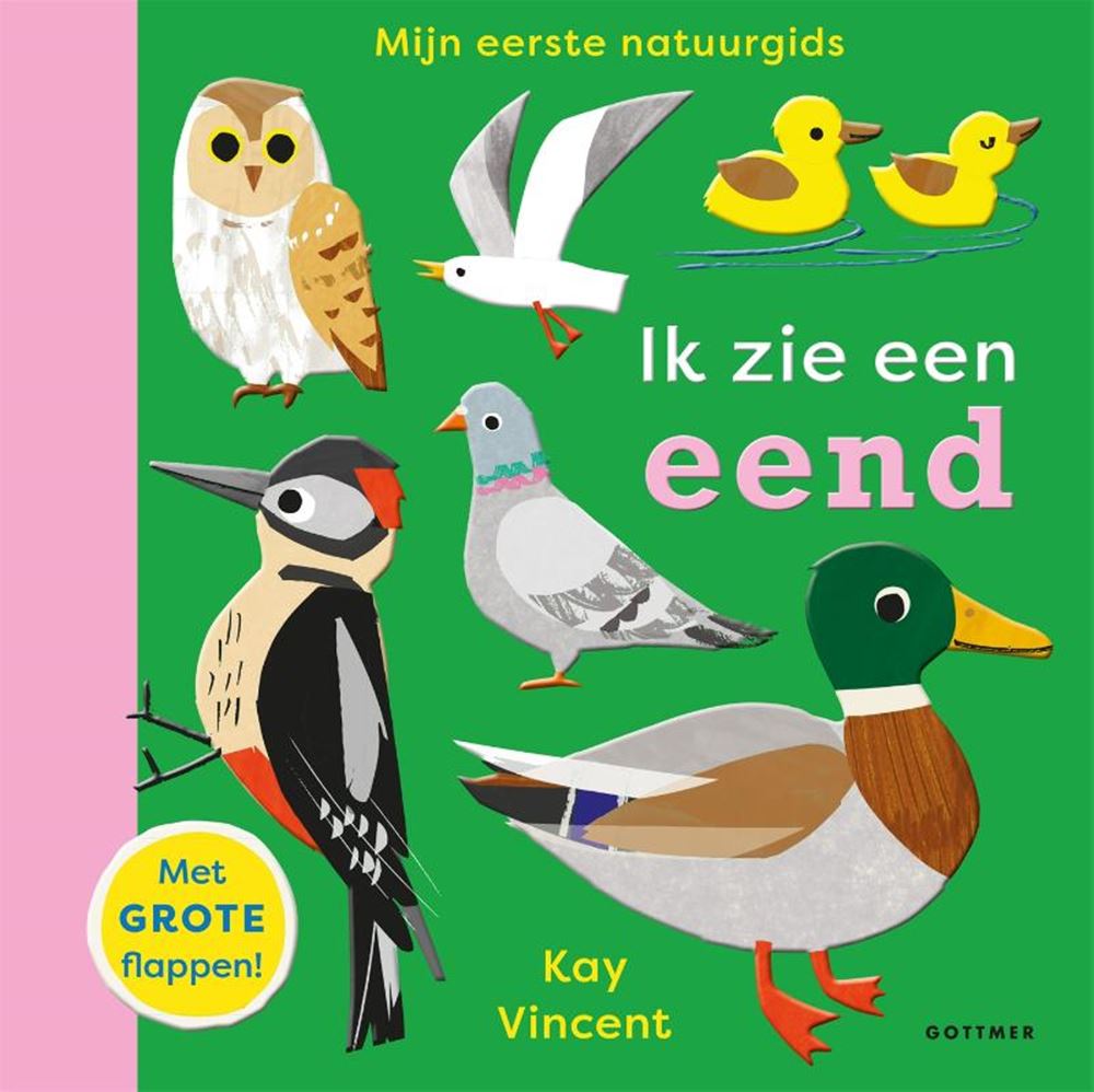 je vois un canard 2+