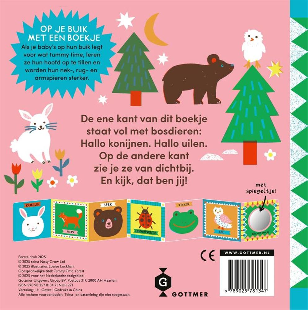Livre cartonné : temps sur le ventre dans les bois 1+
