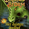 Dragonstorm, le labyrinthe sombre. 8+