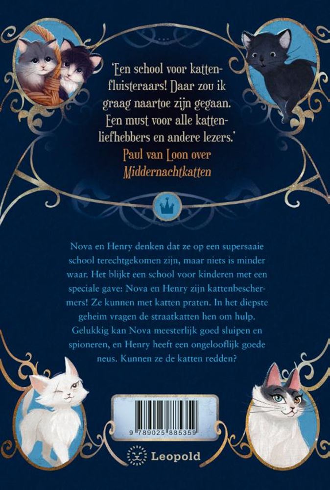 La bataille des chats des rues 9+