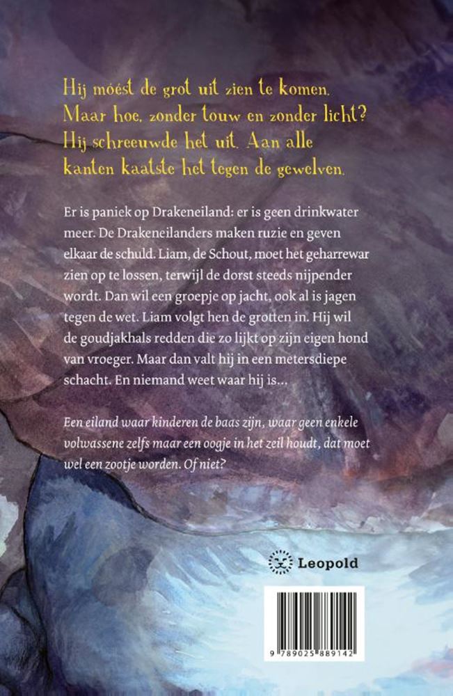 Panique sur l'île aux dragons 10+
